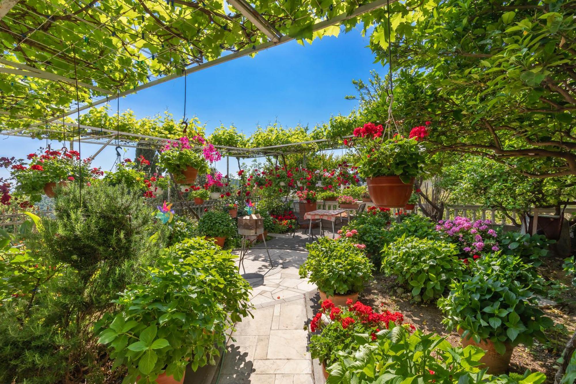 Apartmani Galic 2 Mlini Bagian luar foto