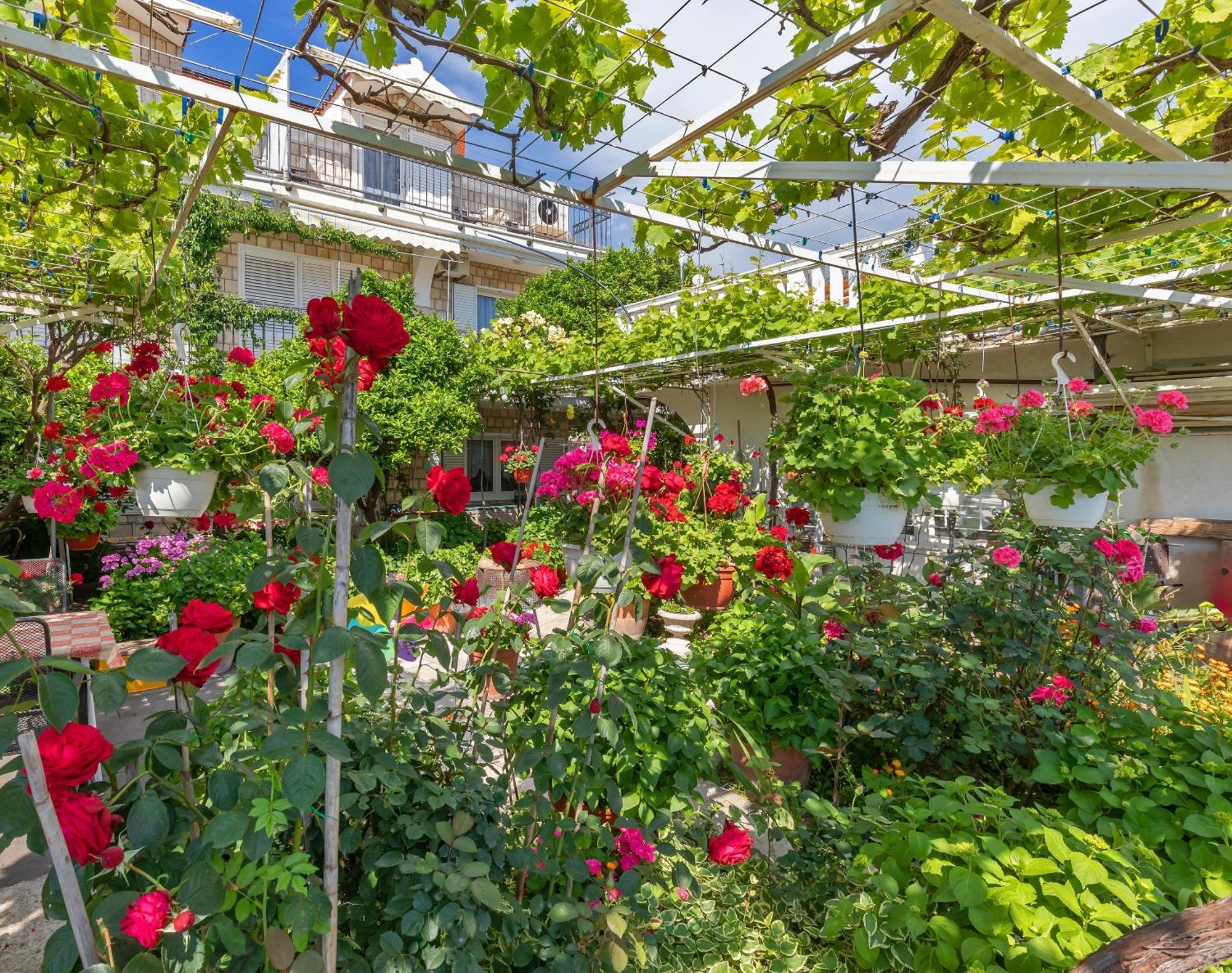 Apartmani Galic 2 Mlini Bagian luar foto